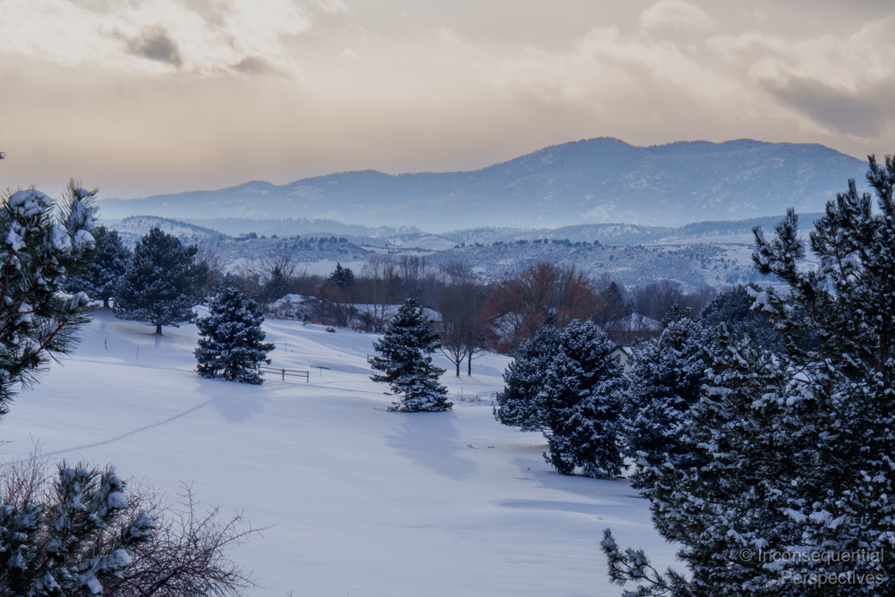 20250119-CSR06906-HDR