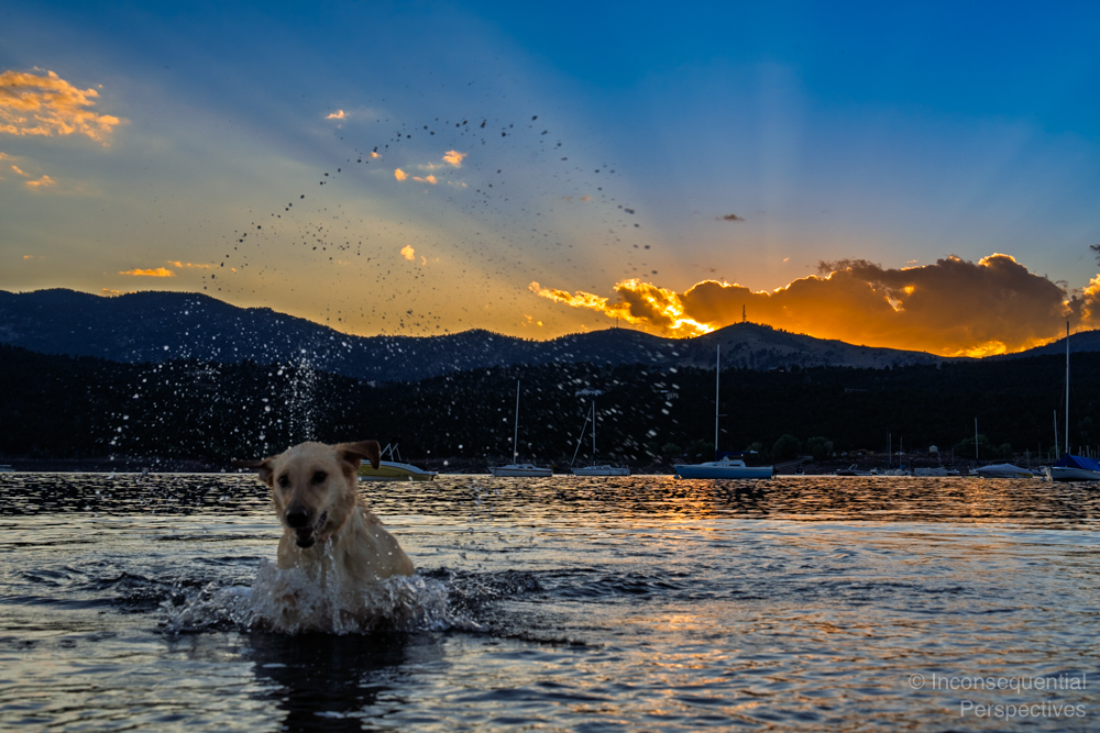 Ellie, Lead Trail Reconnaissance Officer